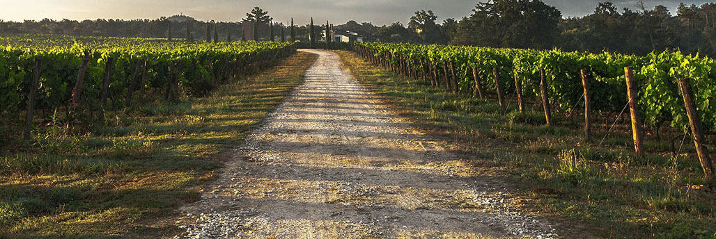 Toscana - Tour para Itália - Europa