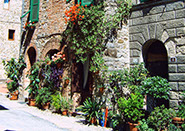 Toscana - Tour para Itália - Europa