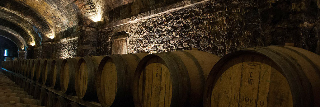 Vinícola - Toscana - Tour para a Itália - Europa